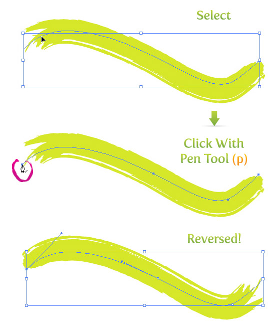 How to Reverse Brush Strokes in Illustrator