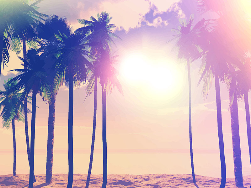 Summer retro palm trees