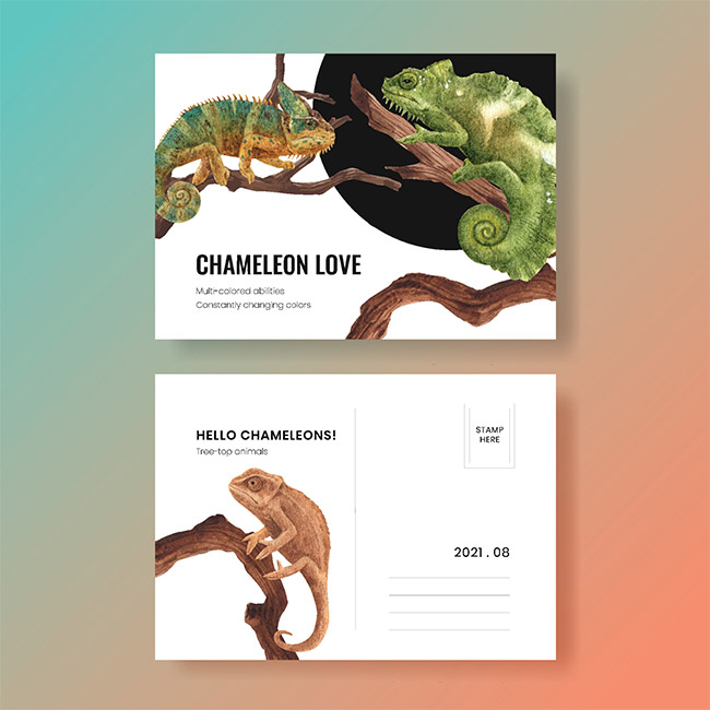 Chameleon Love Post Card