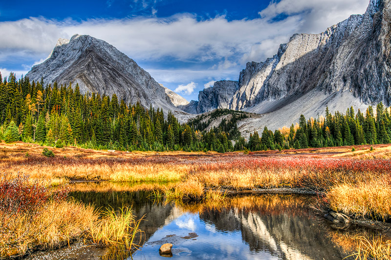 Mountain Scene