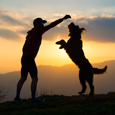 Silhouette of a Man and a Dog