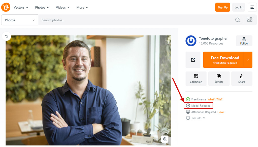 Screenshot of Vecteezy indicating that a photo has a model release